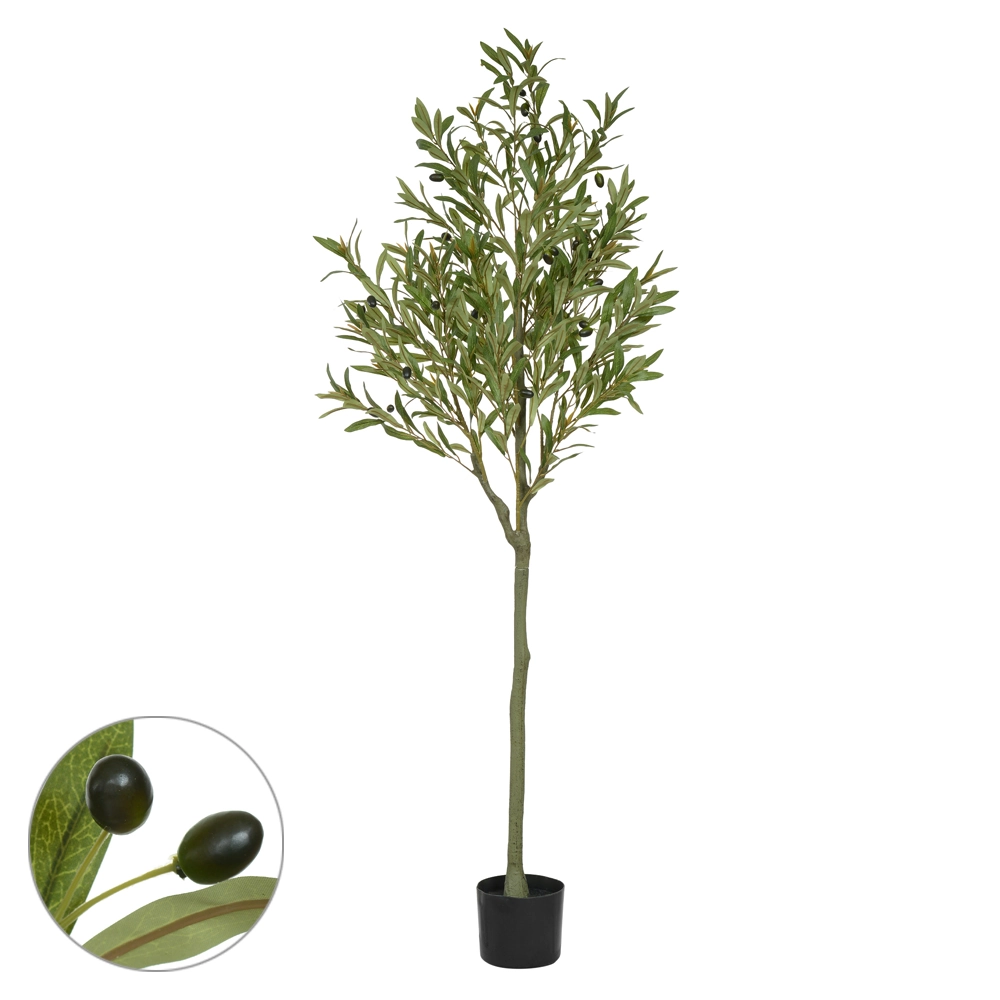 Arvore Oliveira Pote 1.6m 53793001 Dea