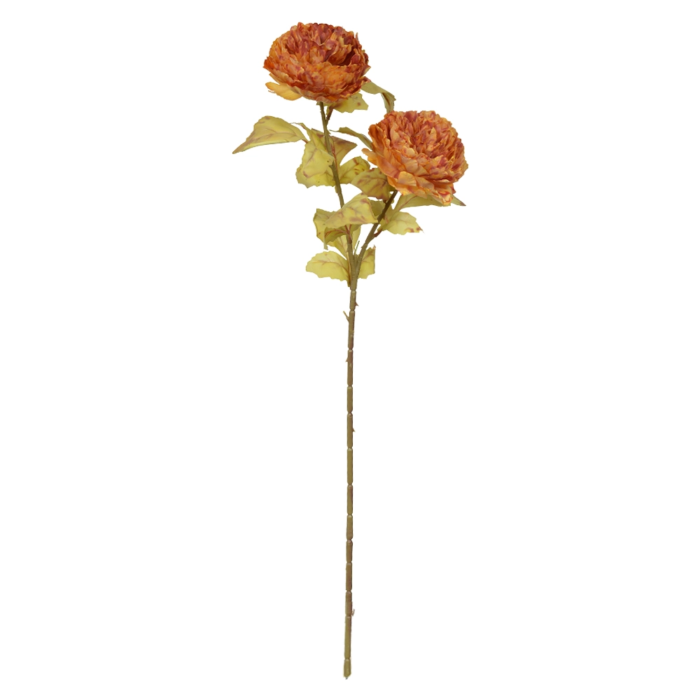 Haste Peonia Ocre Outono X2 72cm 56142001 Dea