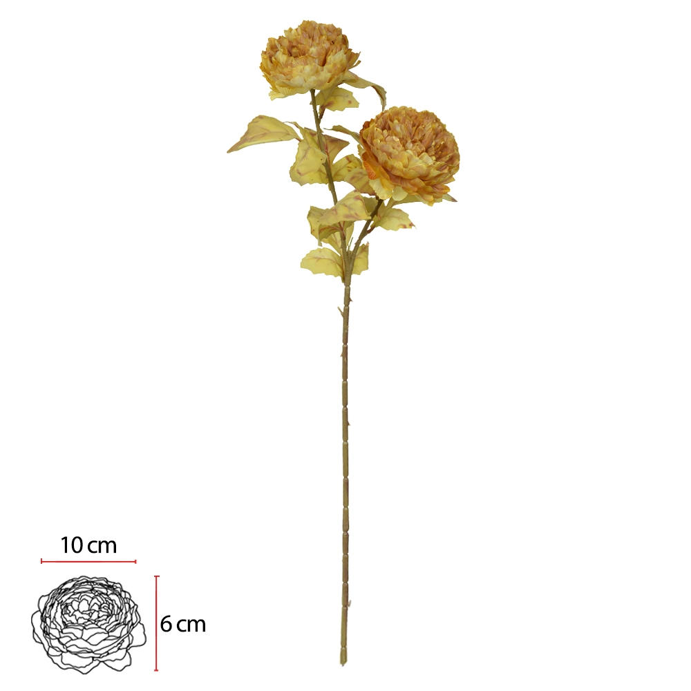 Haste Peonia Cha Outono X2 72cm 56142002 Dea