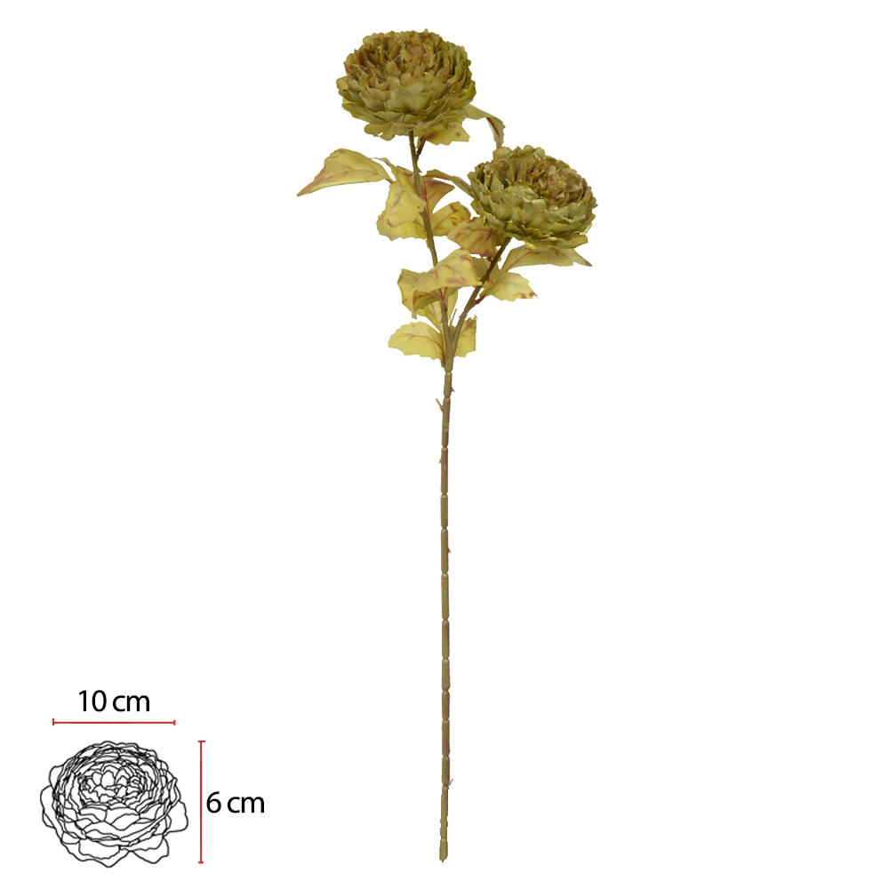 Haste Peonia Verde Outono X2 72cm 56142004 Dea
