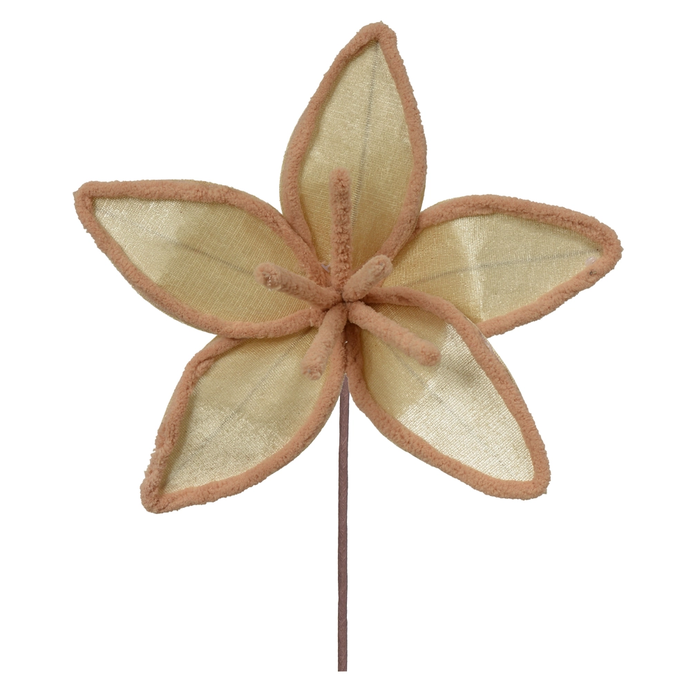 Flor Natal Bege 25cm 56203001 Dea