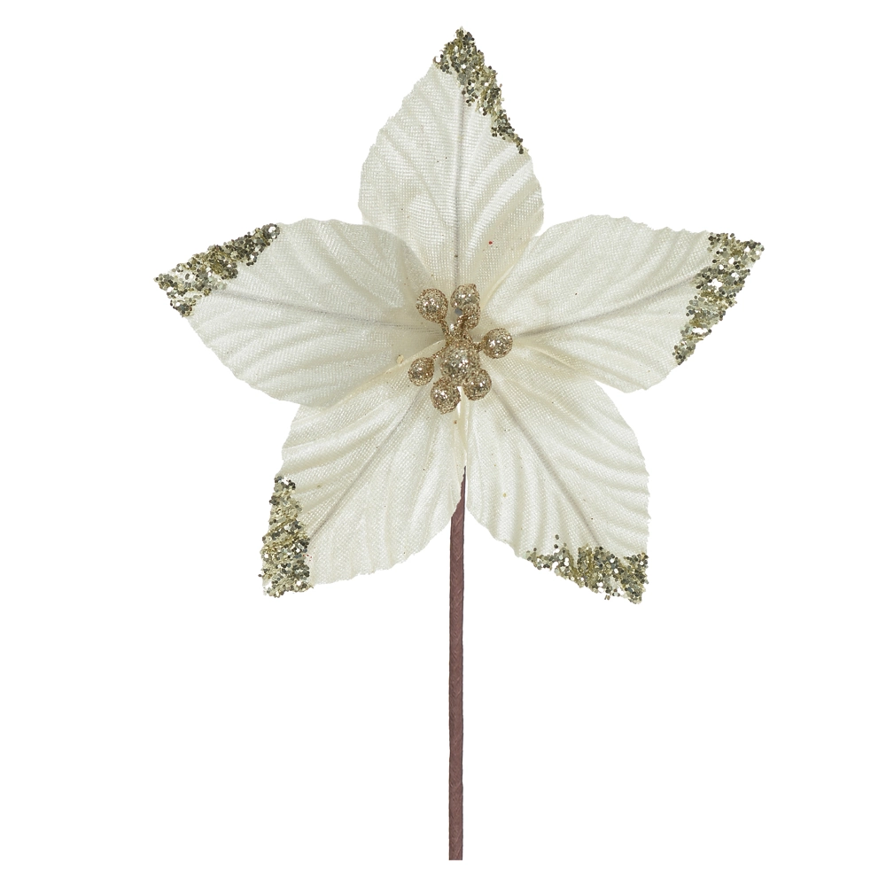 Flor Natal Champagner 18cm 56799007 Dea