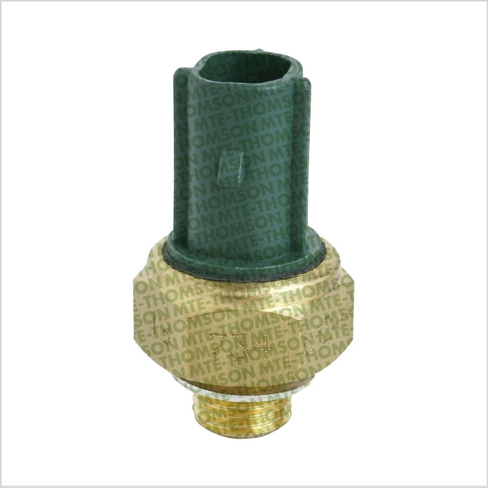 Sensor de Temperatura da Partida Frio - MTE 734