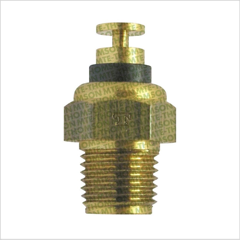Sensor de Temperatura da Partida Frio - MTE 3012