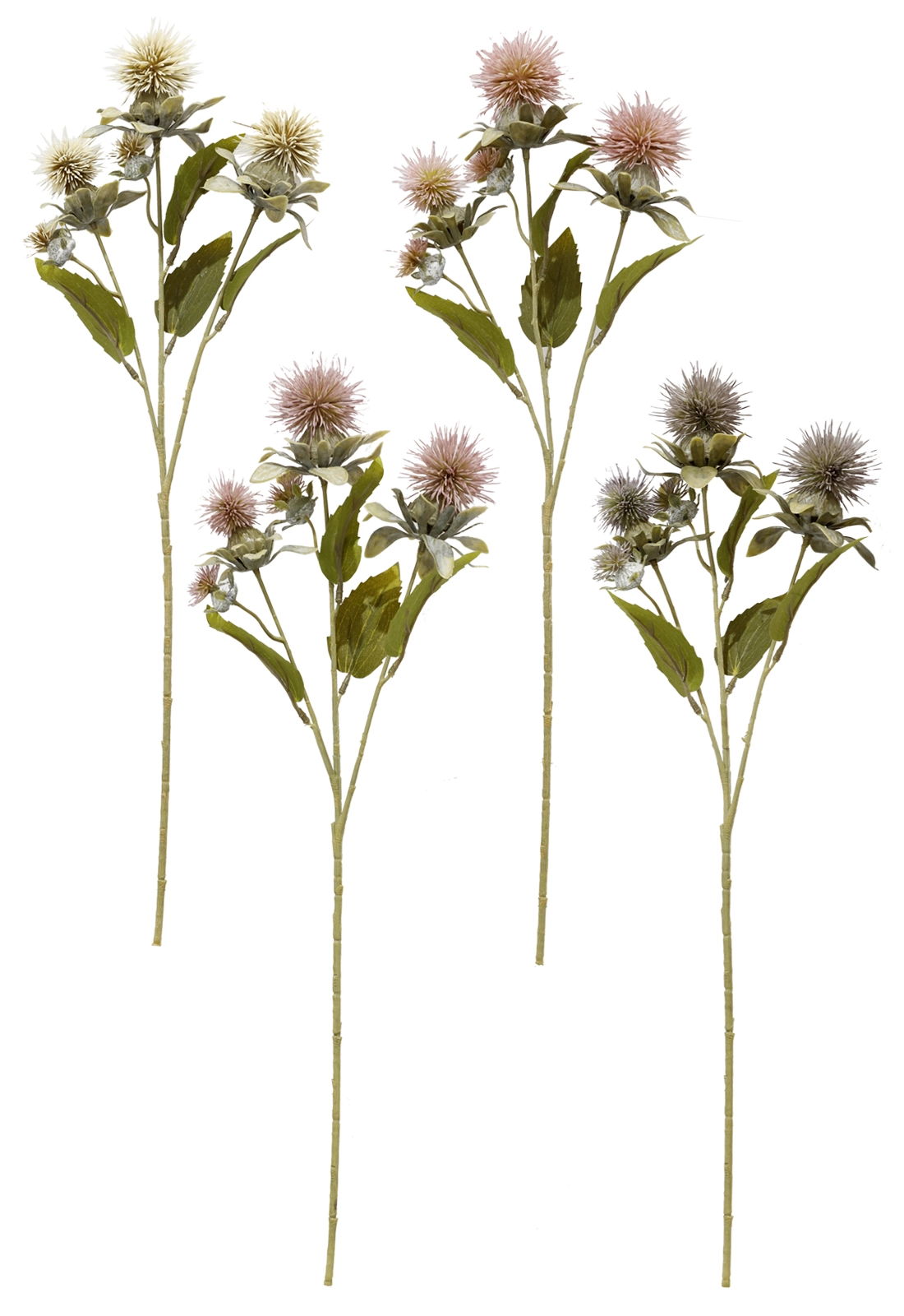 Haste Safflower Sortido 56cm Hf226 Brilliance