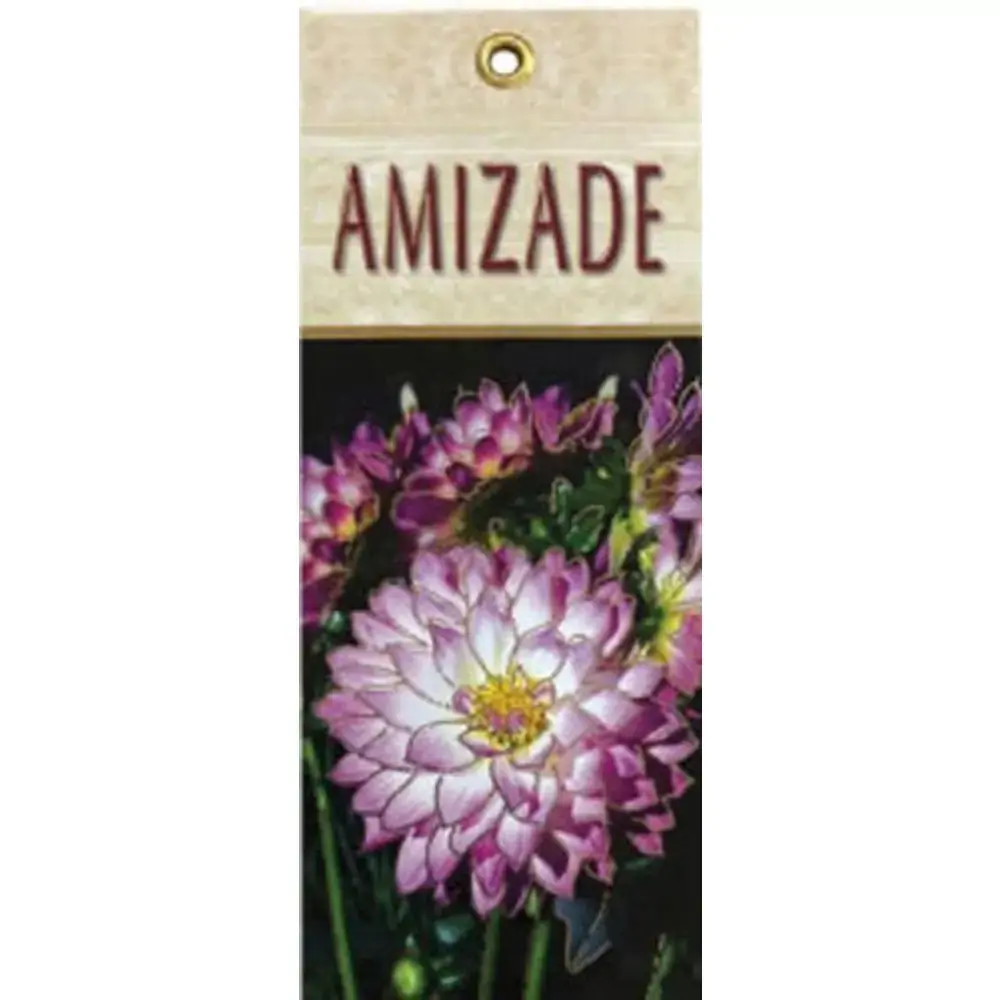 Calendario Da Amizade 2019