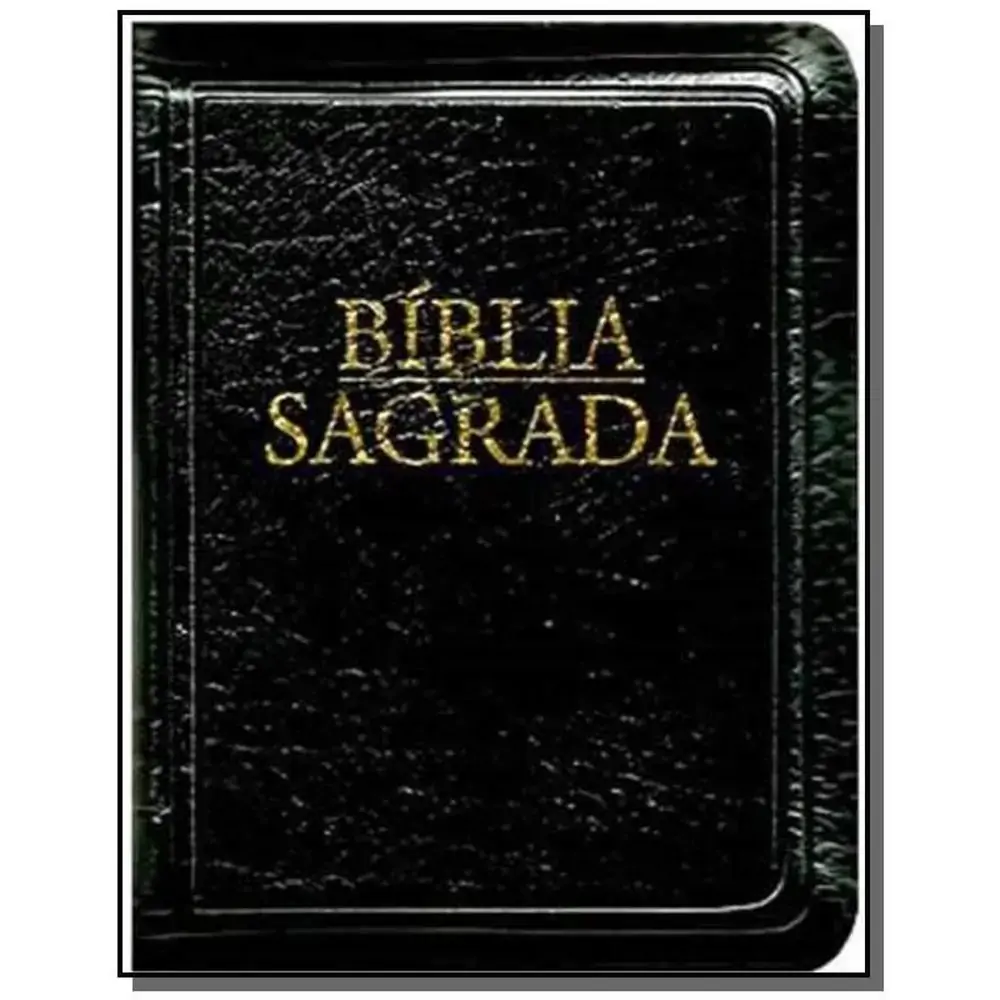 Biblia Sagrada Nova Traducao Na Linguagem De Hoje Bolso Ziper Preta