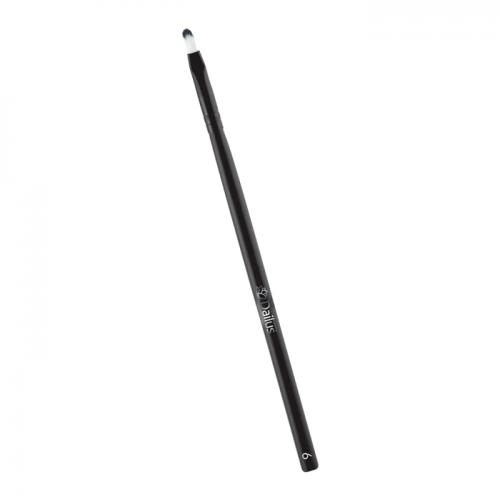 Pincel Labial Dailus Color N 06