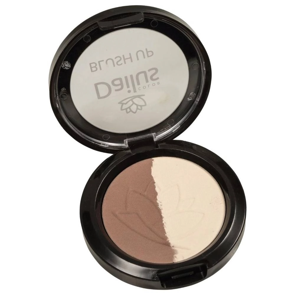 Blush Up Dailus 20 Corretor