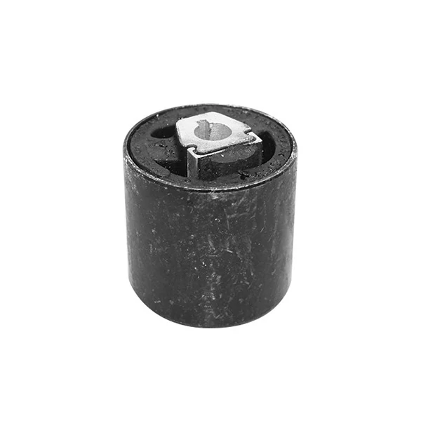 Bucha do Braço Oscilante Eixo Dianteiro BMW X5 - SAMPEL SP118046
