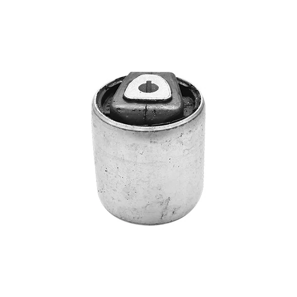 Bucha do Braço Oscilante Eixo Dianteiro BMW X5/X6 - SAMPEL SP118048