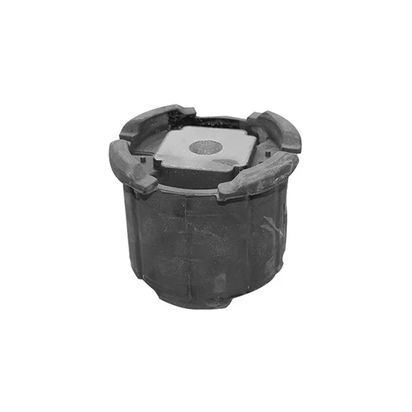 Bucha do Quadro do Eixo Traseiro BMW X5/X6 - SAMPEL SP118066