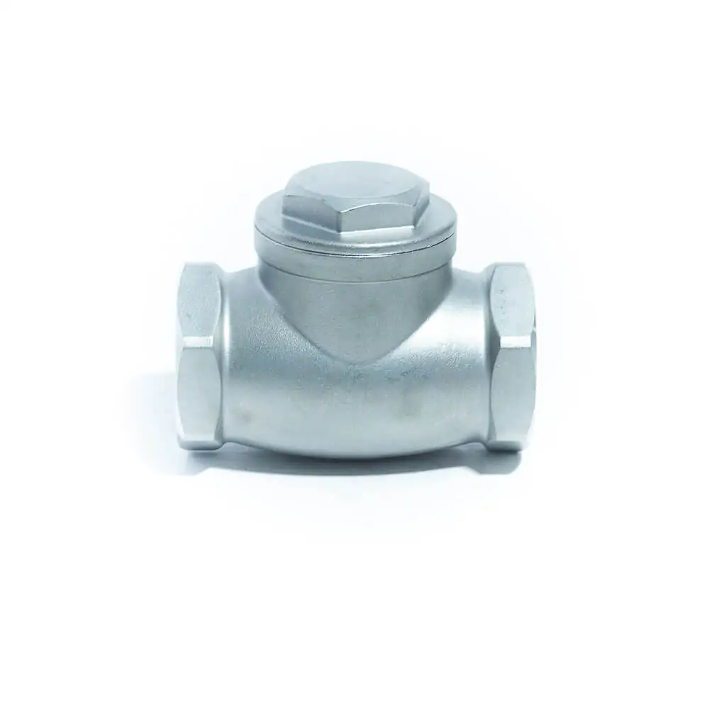 Aci-p Válvula De Retenção Portinhola Aço Inox 316 Rosca Bsp Ø1.1/2