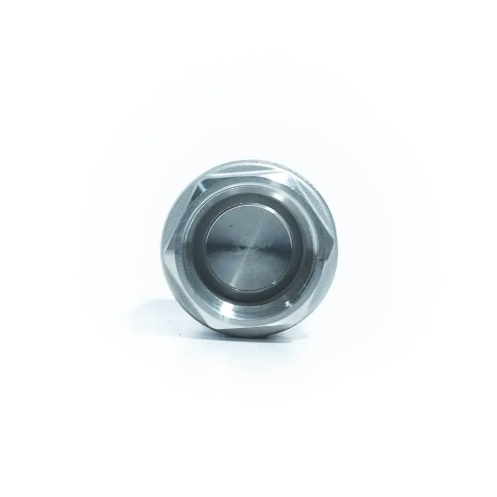 Aci-rv Válvula De Retenção Vertical Aço Inox 316 Cf8m Wog Rosca Bsp Ø1