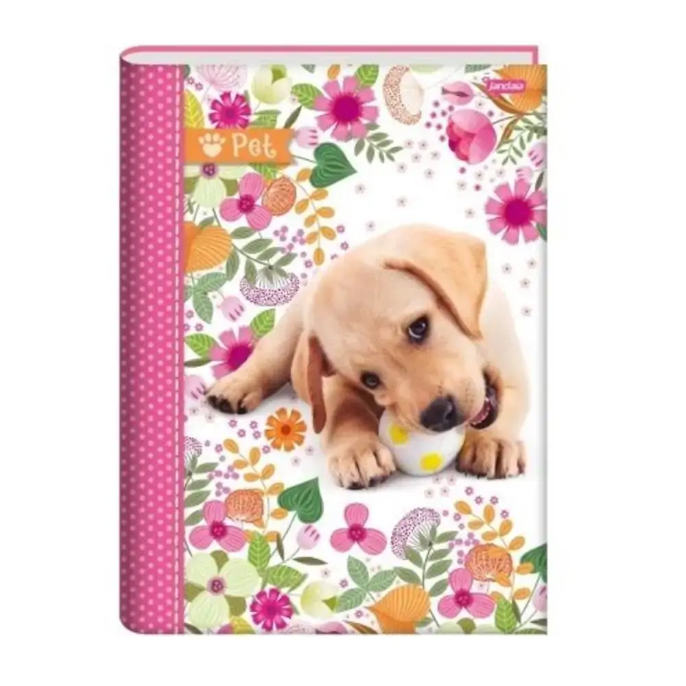 Caderno Brochura 1/4 Cd 96 Fls Pet