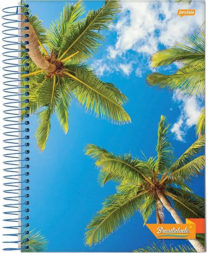 Caderno Esp Univ 10x1 200fls Brasilidade