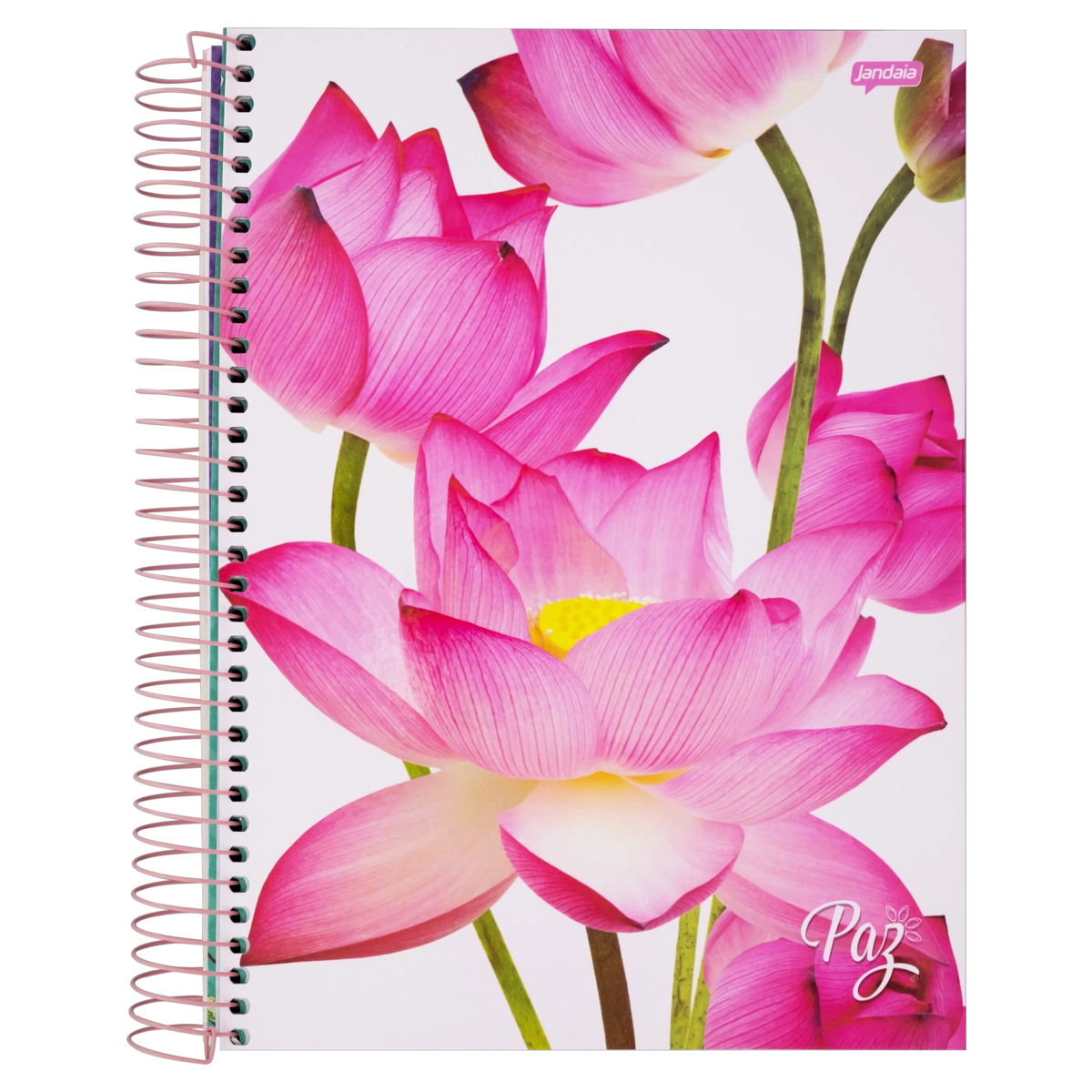 Caderno Univ C/d 10x1 200fls Paz