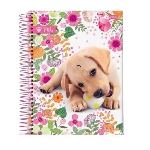Caderno Espiral Pet 96 Folhas 220g Jandaia