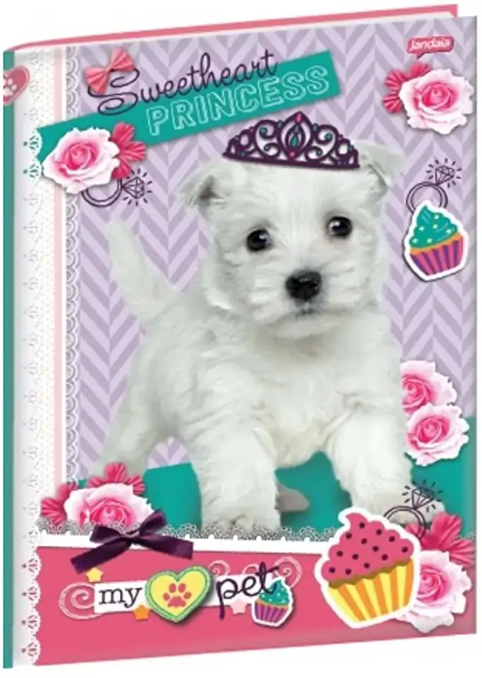 Caderno Brochura 1/4 Cd 96 Fls Pet