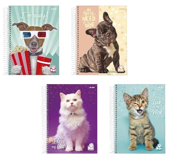 Caderno 1/4 Cd 80fls Pet