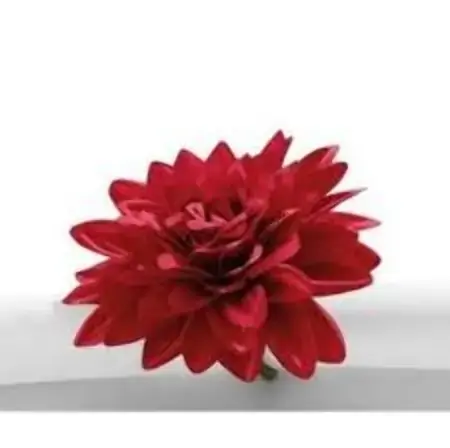 Argola P/guardanapo C Cia Primavera Dalia Vermelha