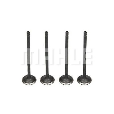 Válvula de Escape TOYOTA COROLLA - MAHLE/METAL LEVE VE0631551STD