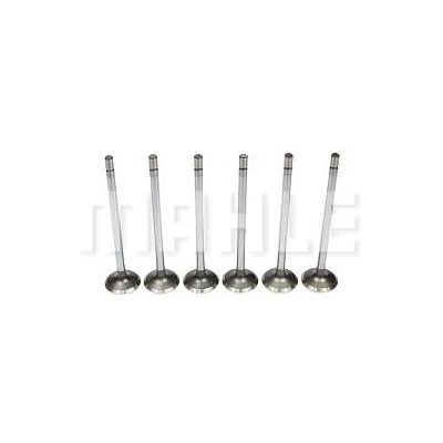 Válvula de Escape - MAHLE/METAL LEVE VE0381700STD