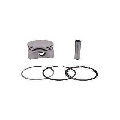 Pistão com Anel (100) Flex - MAHLE/METAL LEVE SPA9737100SPA