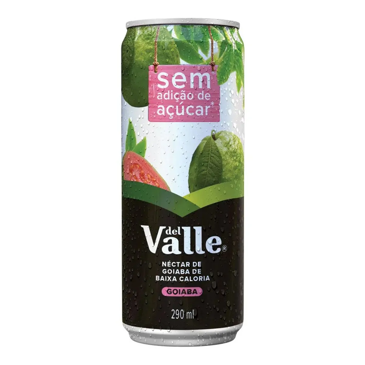 Suco Nectar de Goiaba Del Valle 290 ml