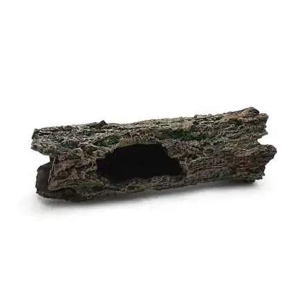 Fragata Tronco Casca Eg