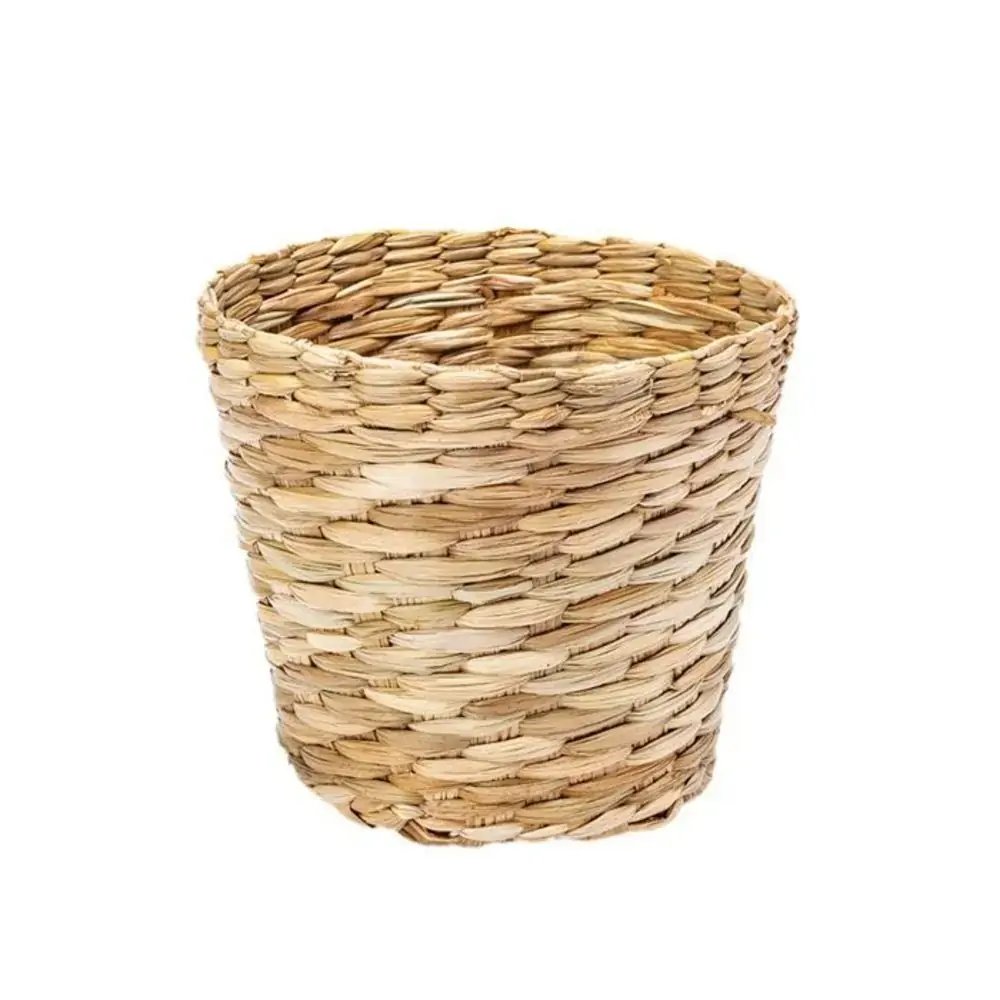 Cesta Presente Cachepo Cone 1 Crisantemo Taboa R.981