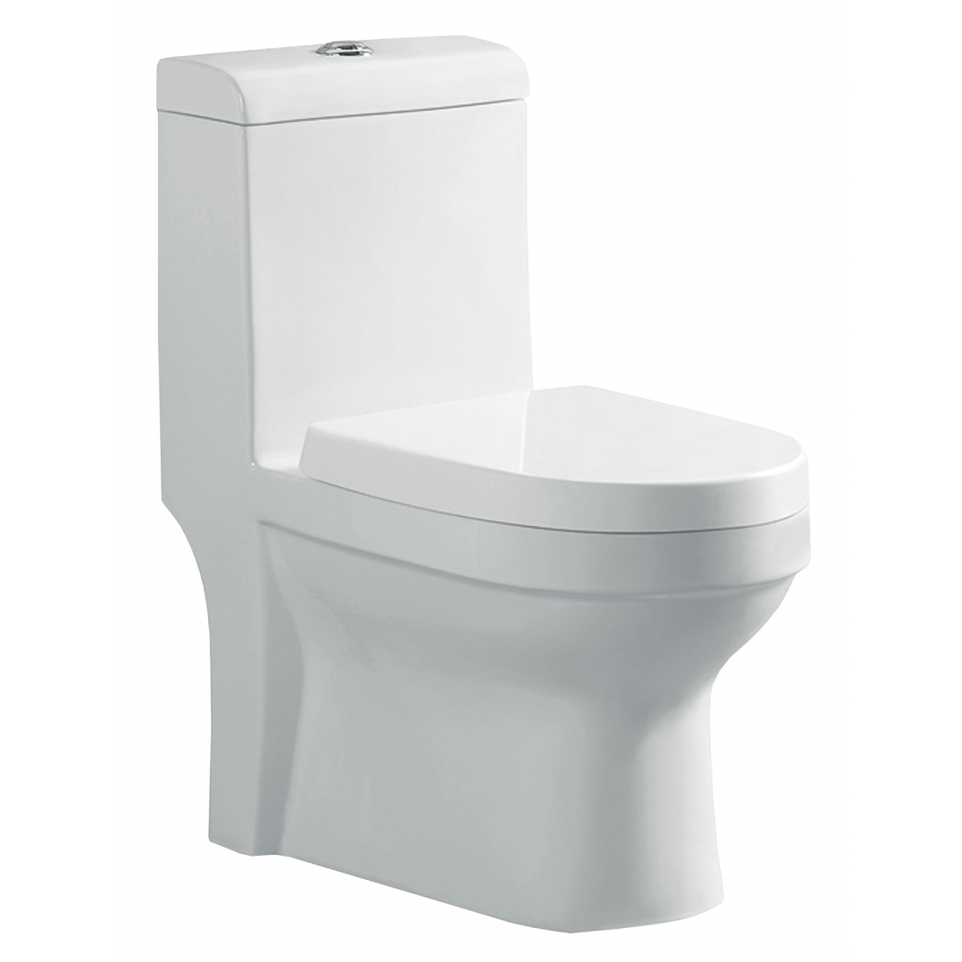 Vaso Sanitário Monobloco Reno R 300