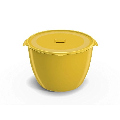 Pote U.z Multiuso Color 5,5l Amar