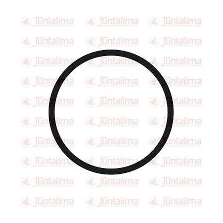 Junta do Corpo de Borboleta FORD ECOSPORT/KA - JUNTA LIMA JL11560