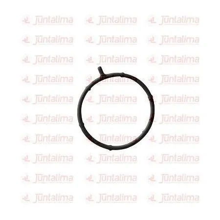 Junta do Corpo de Borboleta - JUNTA LIMA JL016087