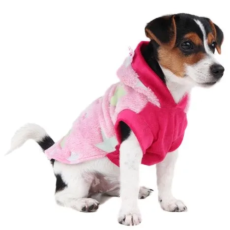 Puppy Rosa 01