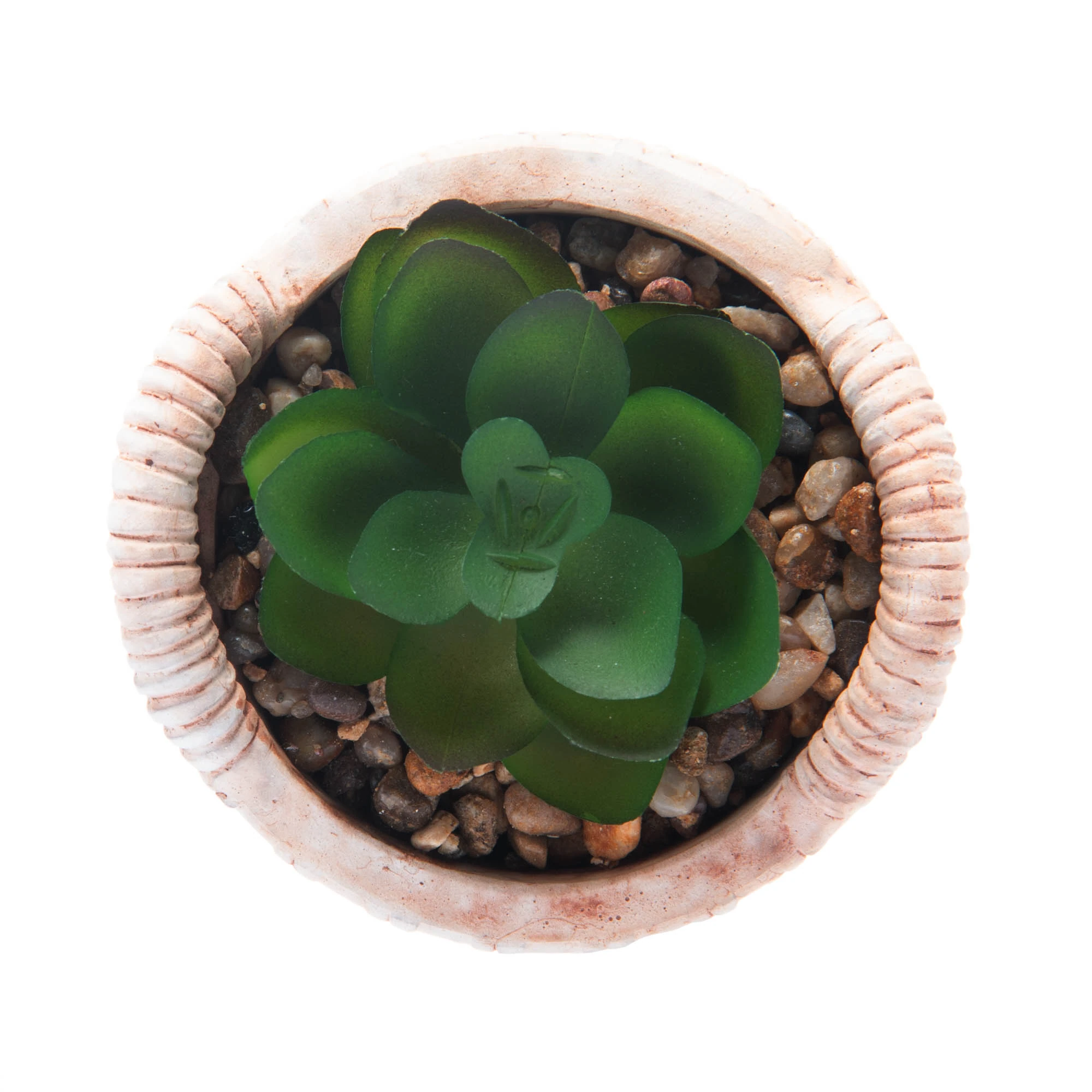 Wolff Cachepot De Ceramica Com Suculenta Palha 7,5x7,5x9,5cm Ref:61609