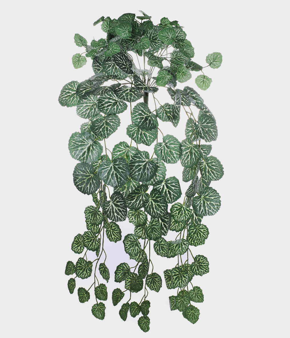 Folhagem X180 Folhas Begonia Ref.250062 Grillo