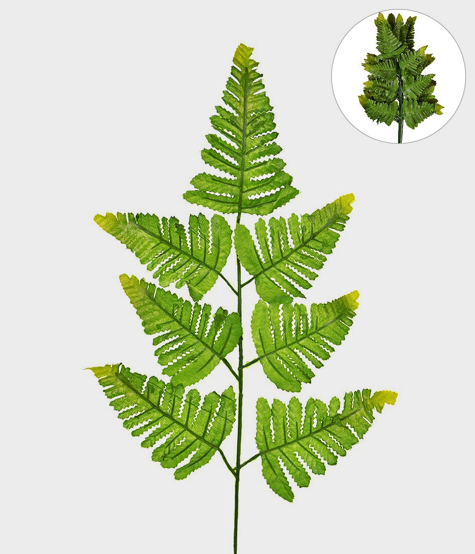 Haste Samambaia Verde Outono Claro X 7 60cm C12 16344 243 Grillo