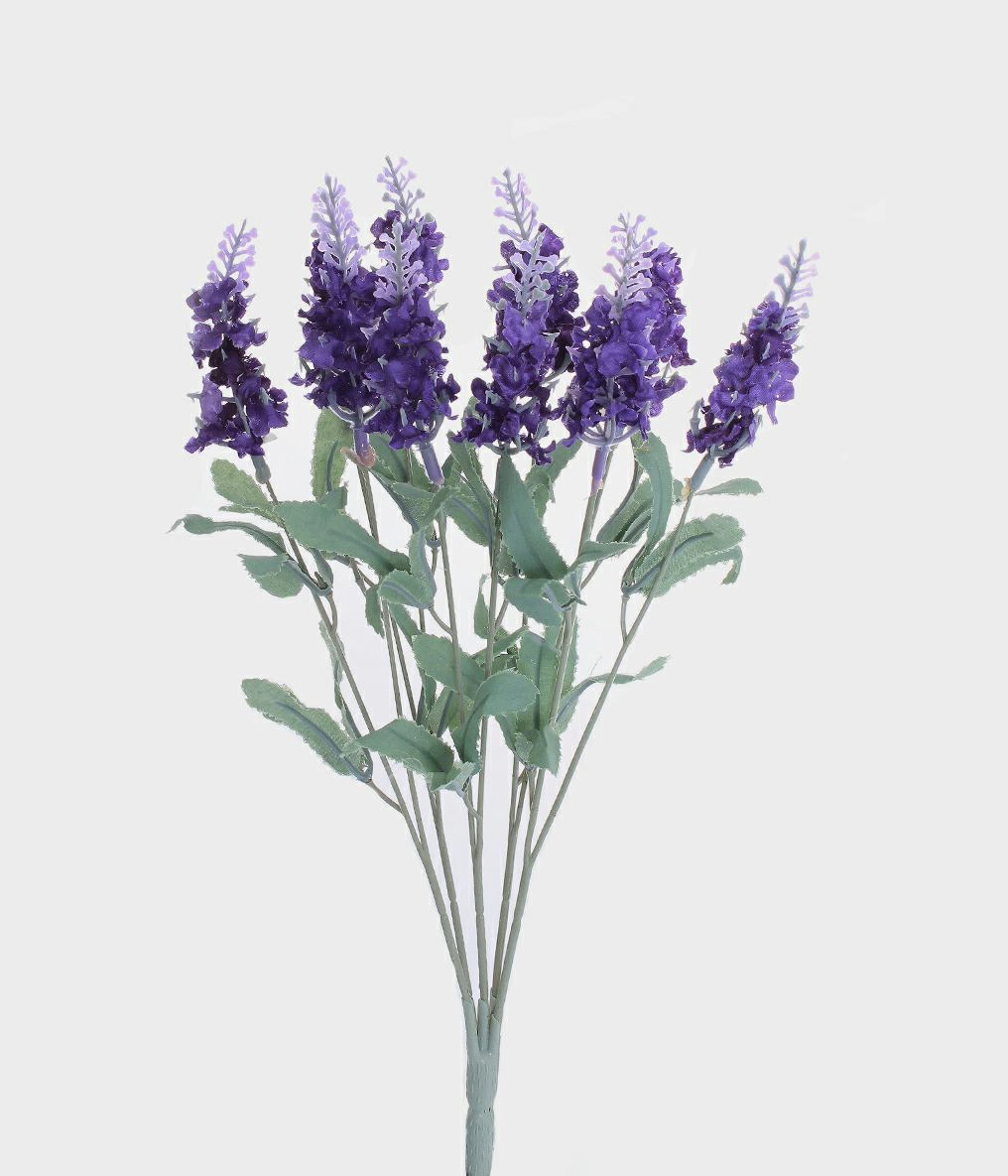 Bq Lavanda X 10 Purpura Ref 19651 479