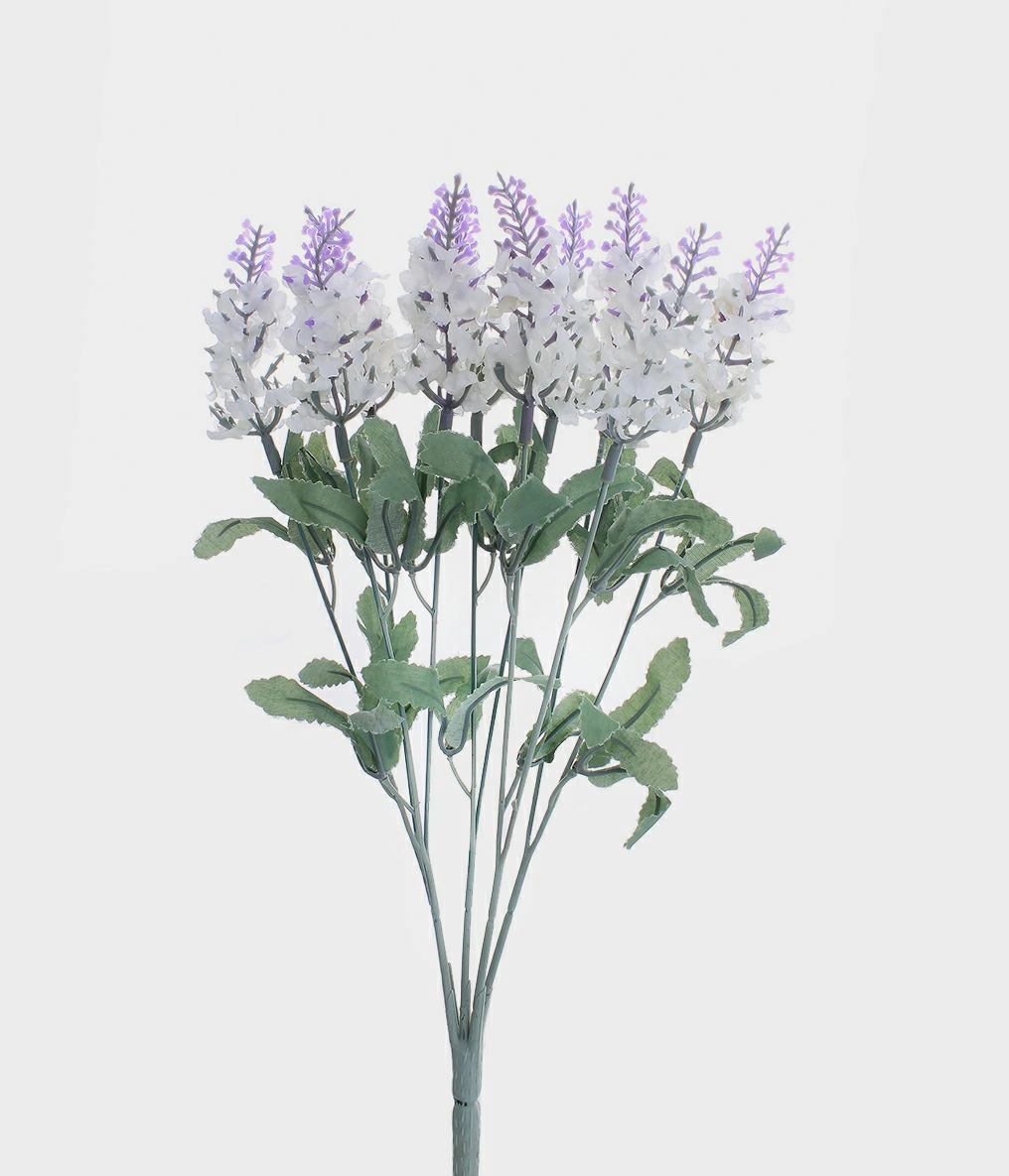 Bq Grillo Lavanda X10 Cr