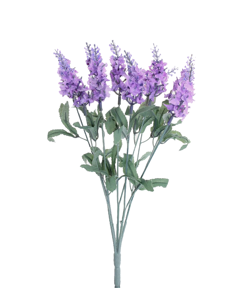 Un|001|lavanda Grillo Bq Lilas X10