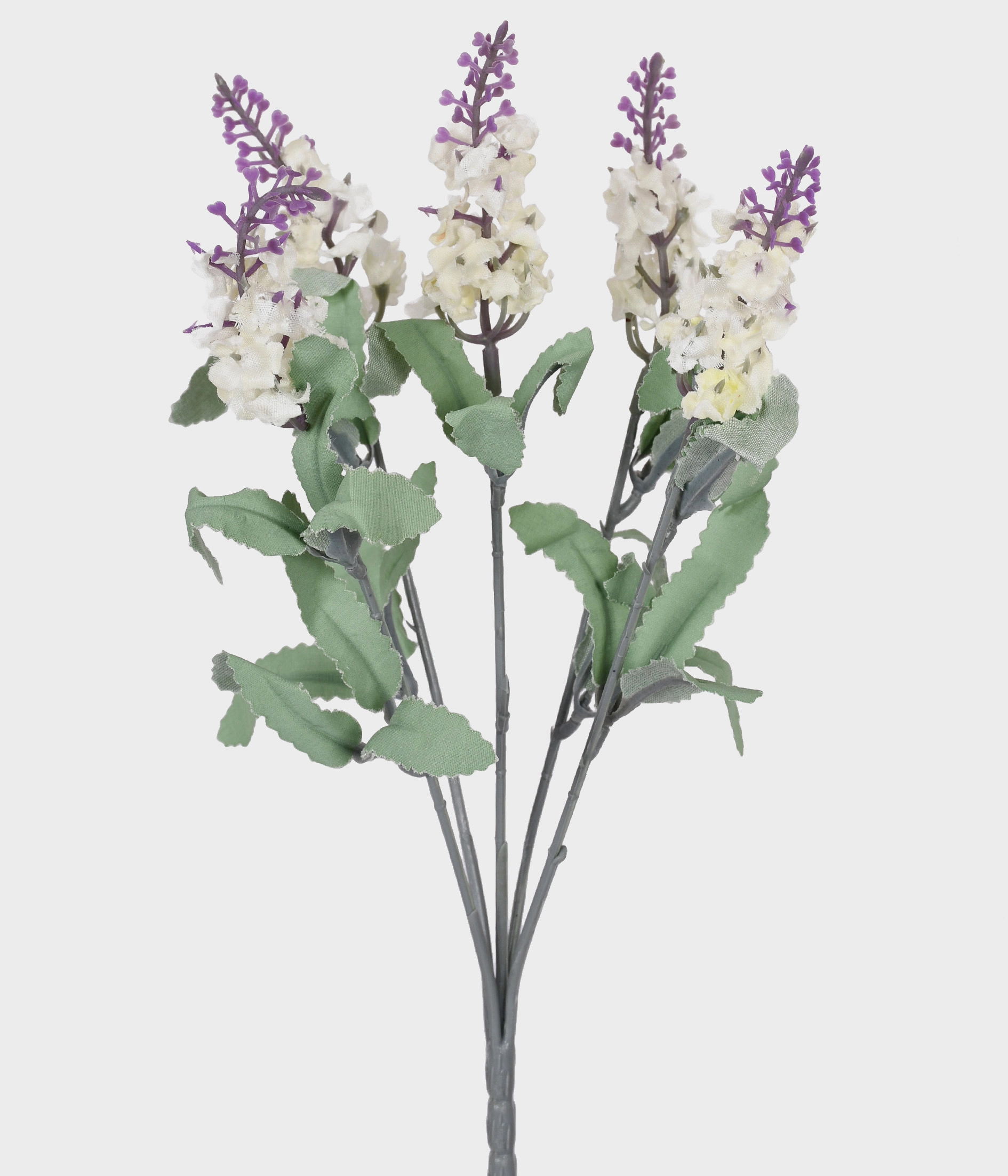 Bouquet Lavanda Grillo X5 Pup 479