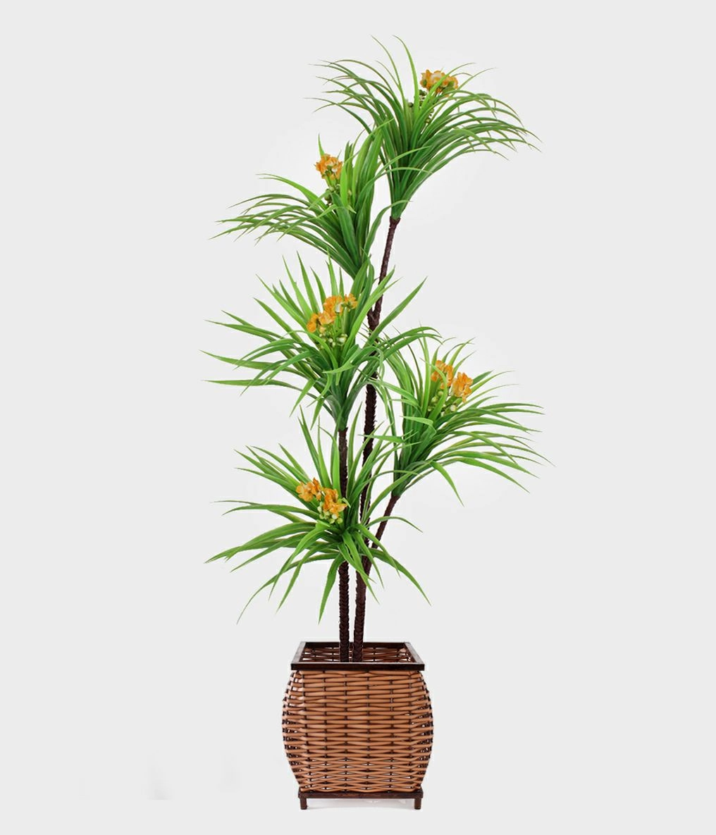 Pl Yucca X5 Com Flores 160cm Amarelo 28776005