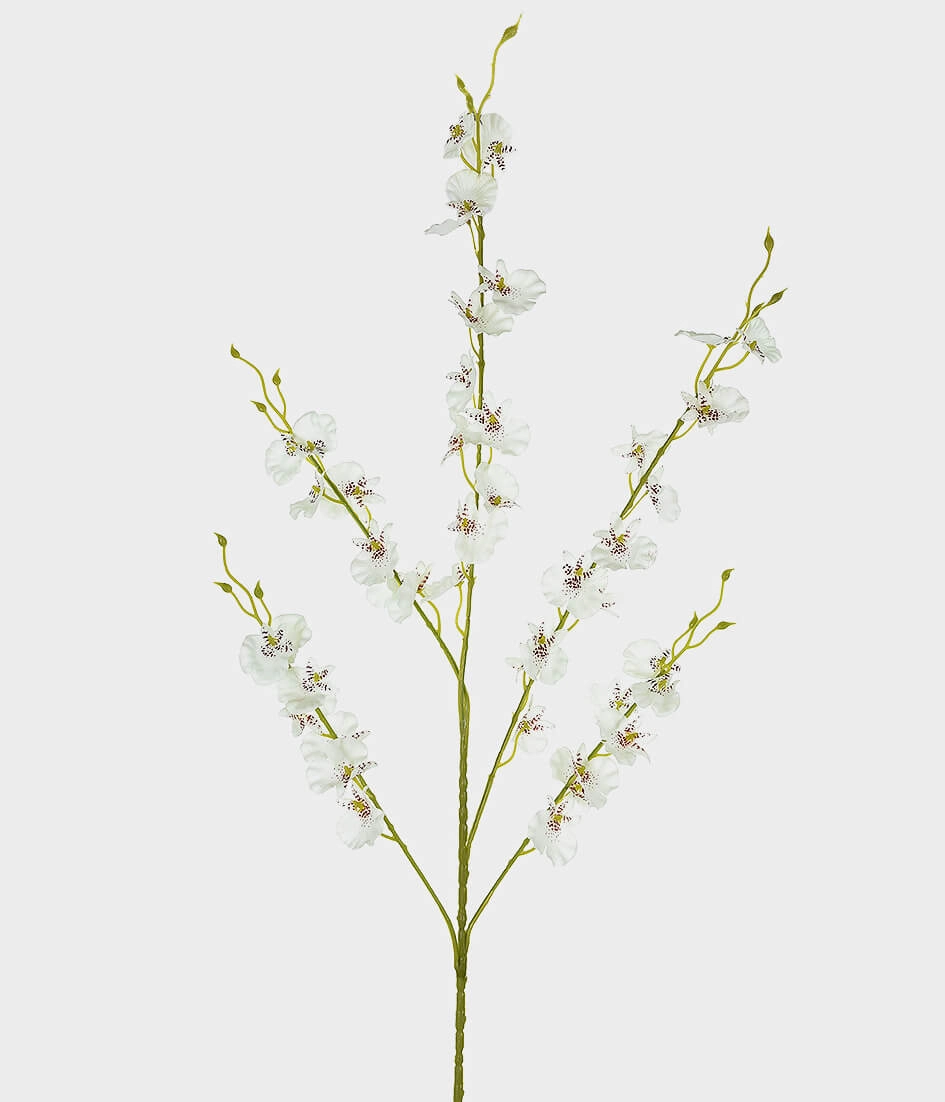 Ht Orquidea Chuva De Ouro X5 29200 010 Grillo
