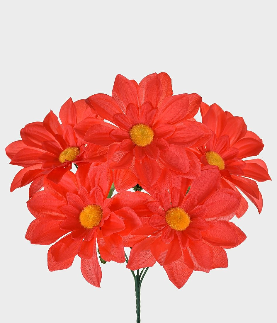 Bq Dalia X5 Gd 29357 009 Vm Grillo