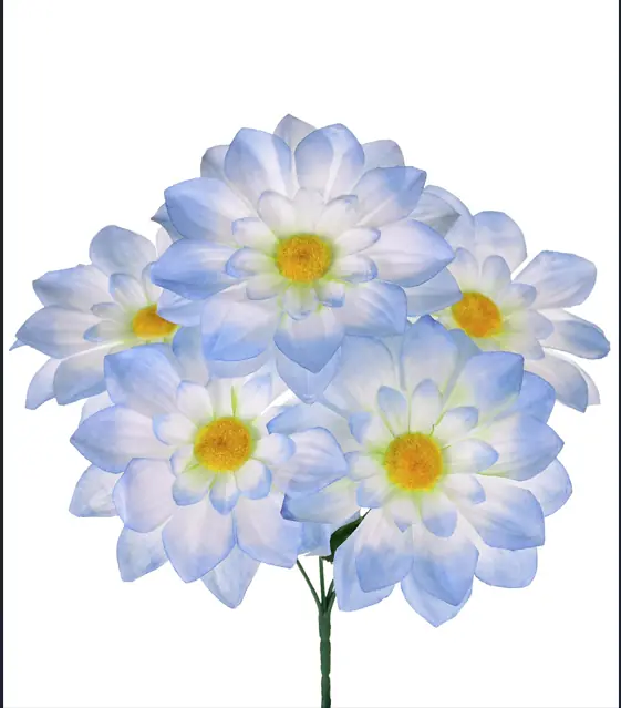 Bq Dalia X5 Azul 29357 001 Grillo
