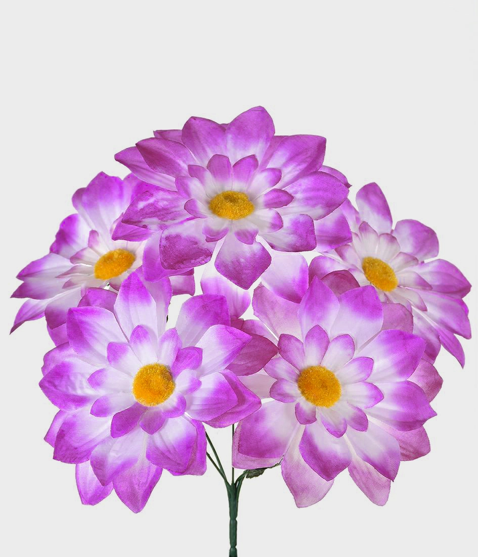Bq Dalia X5 Gd Lavanda
