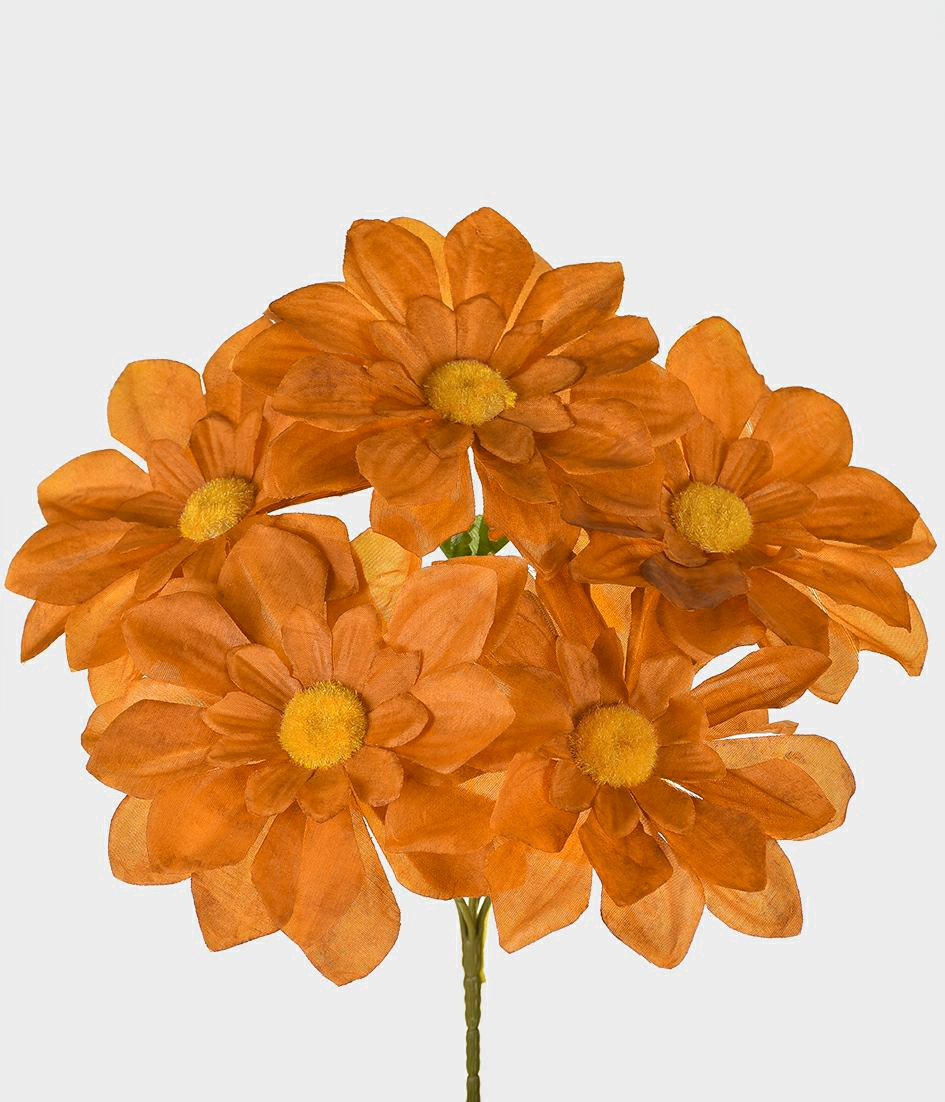 Buque Dalia Gd X5 29357 190 Grillo
