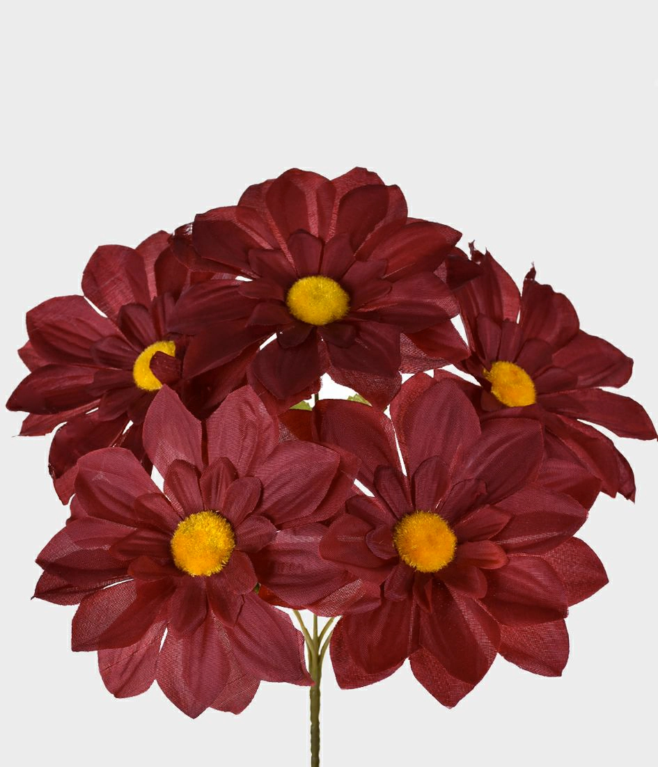 Bq Dalia X5 Gd Burgundy Ref.29357 115